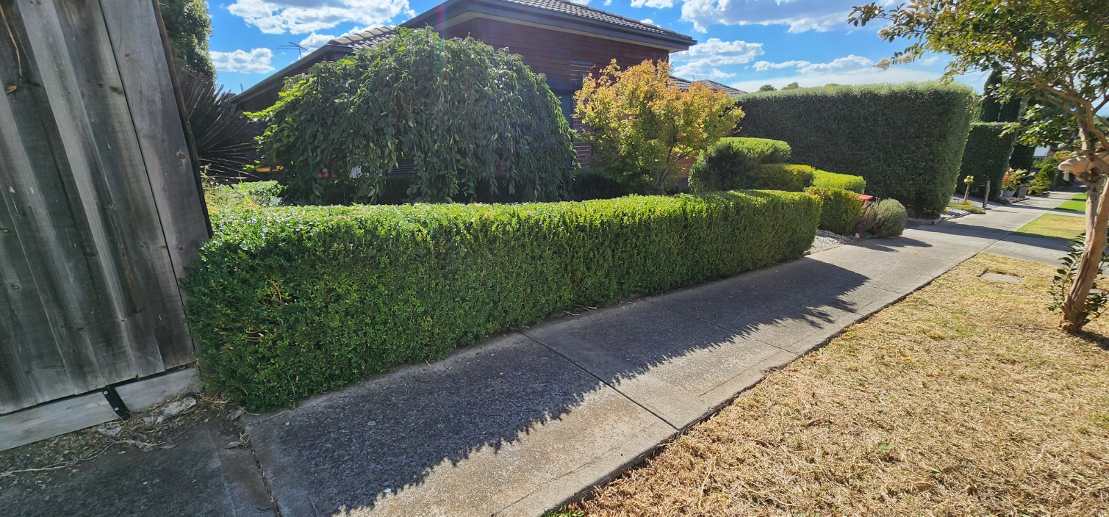 Garden maintenance
